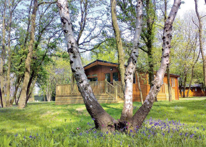 vakantie-naar-Bluewood Lodges-mei 2025