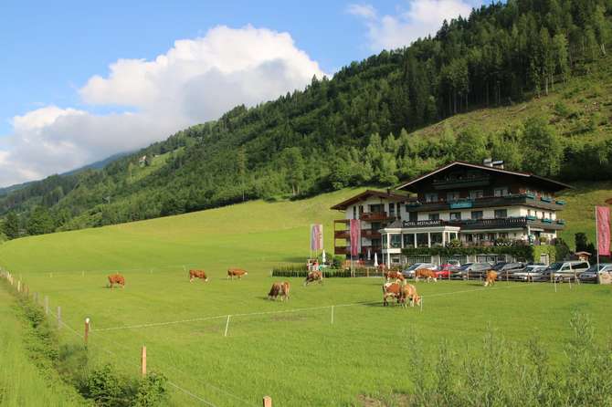 vakantie-naar-Landhaus Rohregger-juni 2025