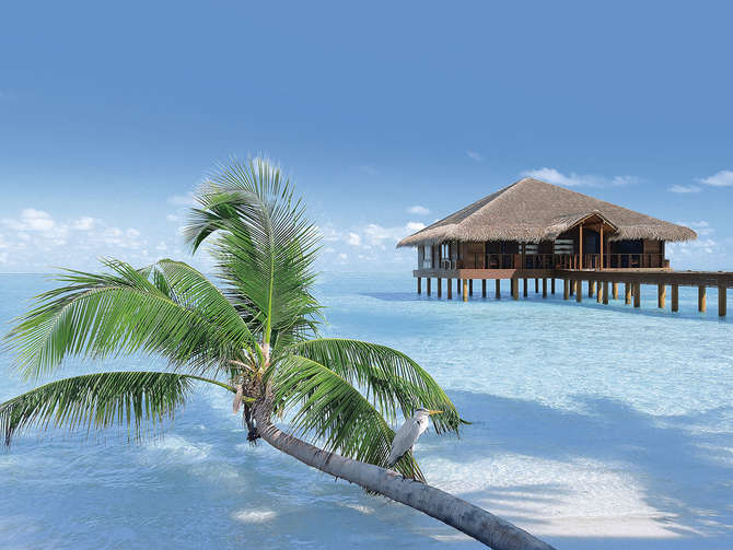 vakantie-naar-Medhufushi Island Resort-mei 2025