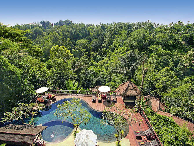 vakantie-naar-Nandini Jungle Resort Spa-mei 2024